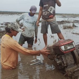 Petani Keluhkan Sulit menanam Padi saat Cuaca  Pancaroba  di Kecamatan Selat Penuguan